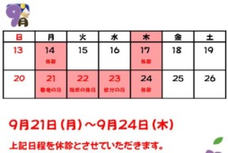 <br />
<b>Warning</b>:  Undefined variable $image in <b>/home/xs041540/moto-od.jp/public_html/wp/wp-content/themes/moto10/page-index.php</b> on line <b>247</b><br />
<br />
<b>Warning</b>:  Trying to access array offset on null in <b>/home/xs041540/moto-od.jp/public_html/wp/wp-content/themes/moto10/page-index.php</b> on line <b>247</b><br />
